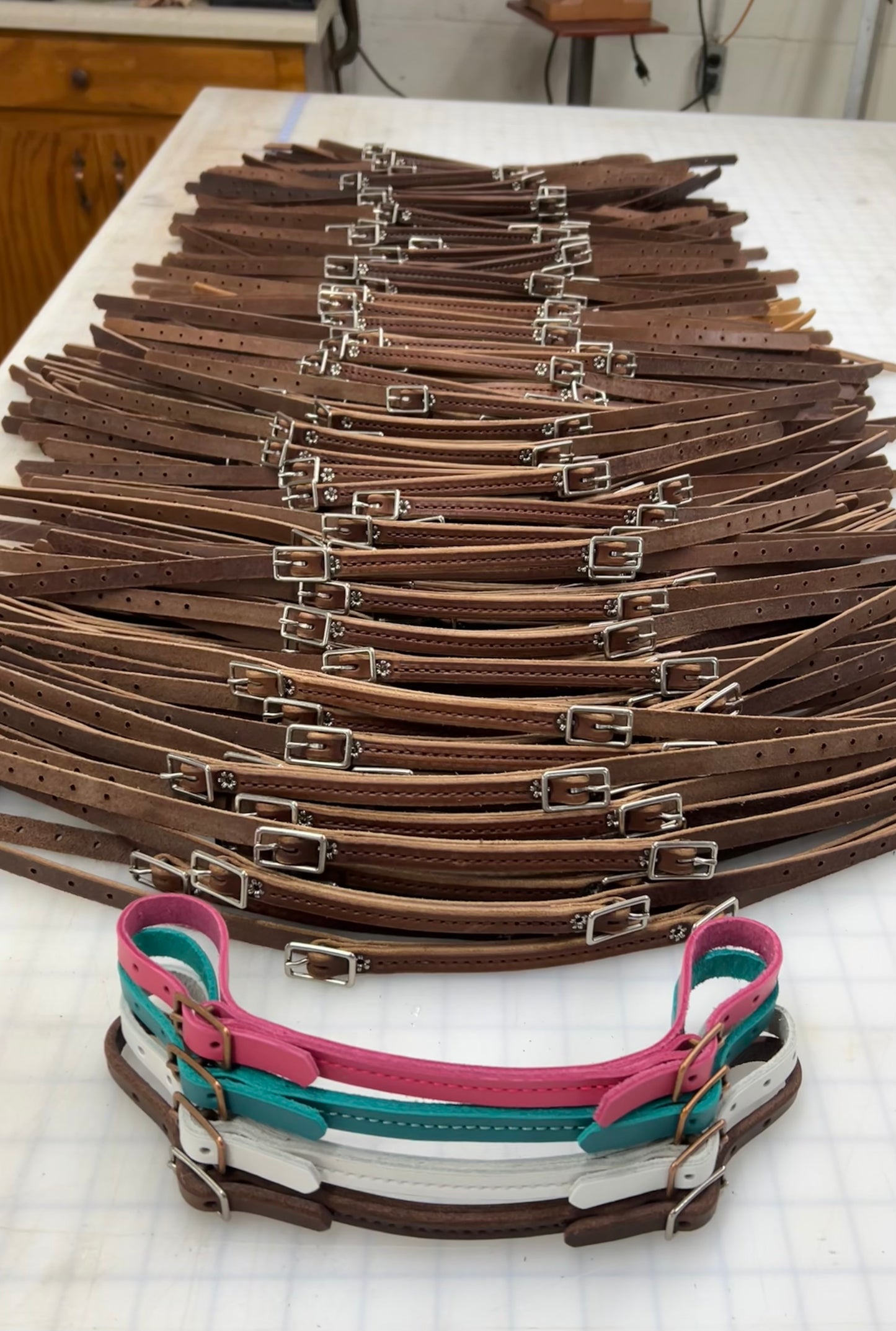 Leather Curb Straps