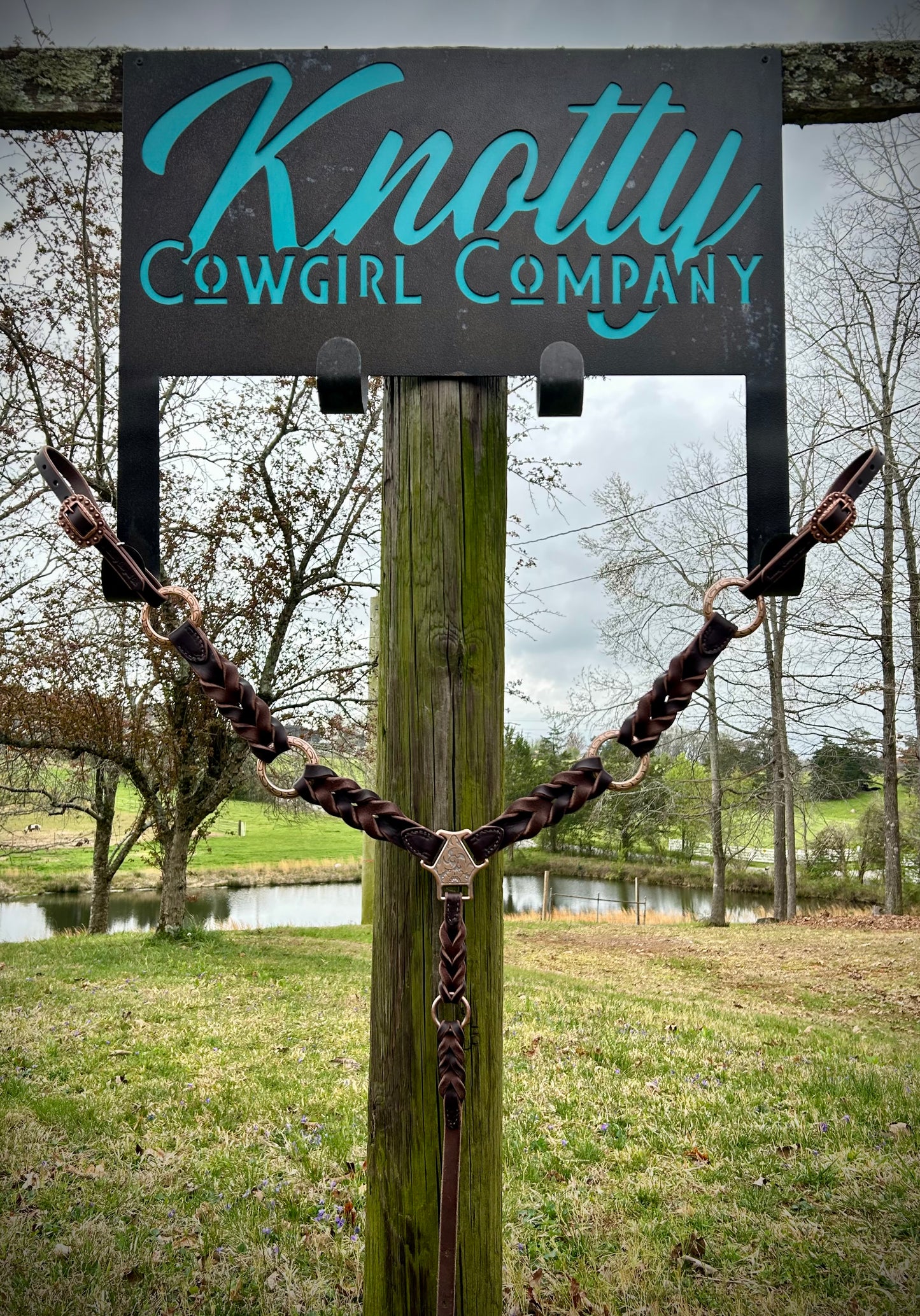 Rings & Knots Breast Collar