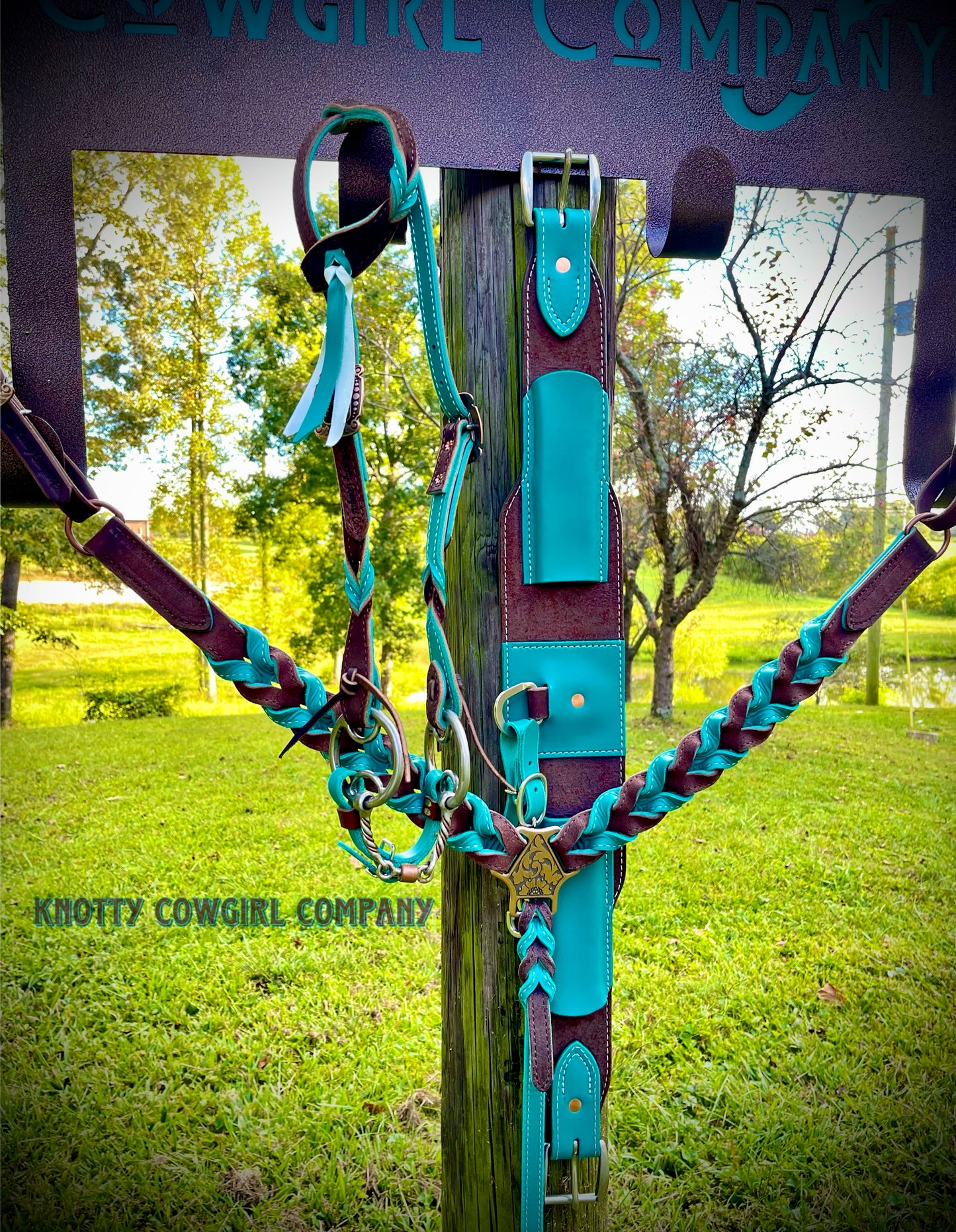 Dual Color Twisted One Ear Headstall