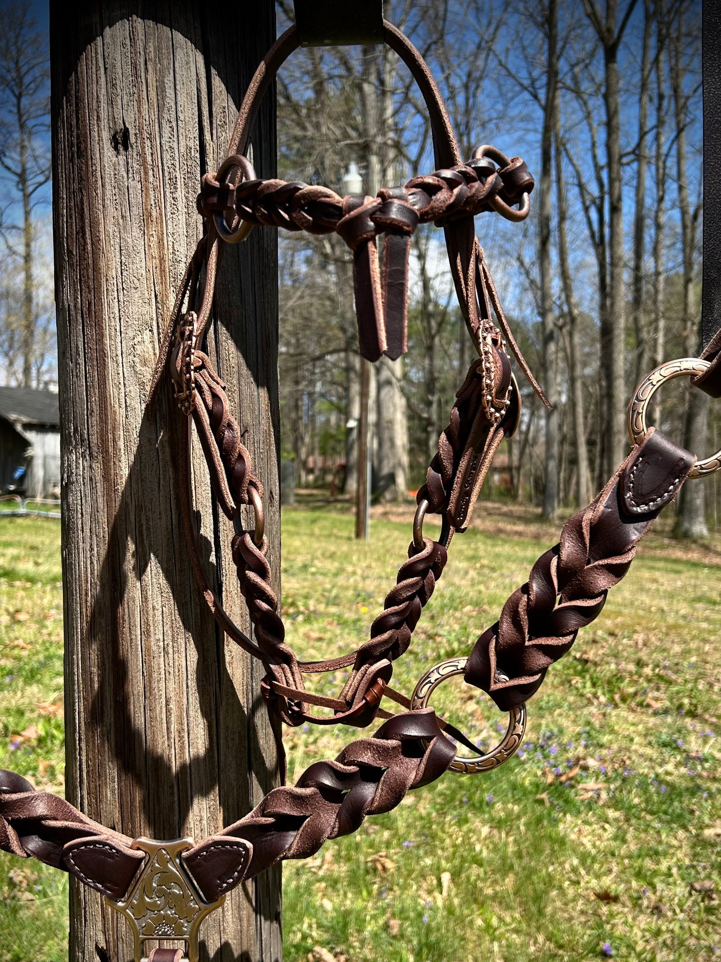 Rings & Knots Futurity Brow Headstall