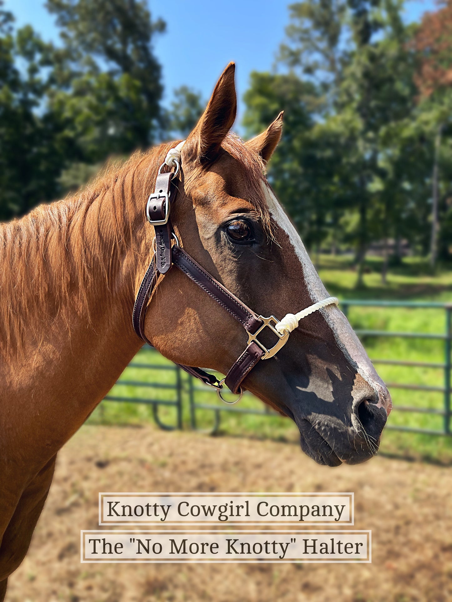 No More Knotty Halter