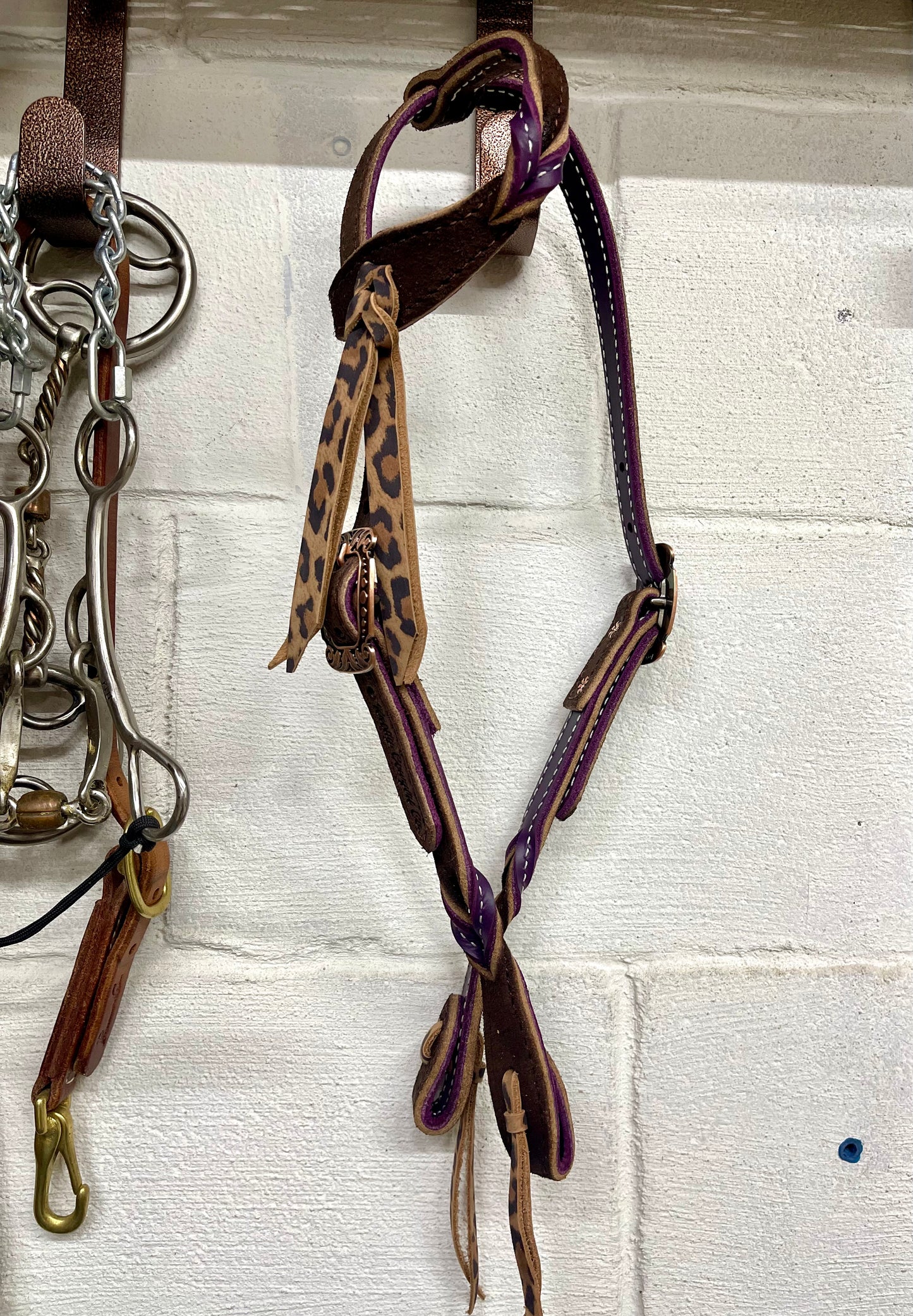 Dual Color Twisted One Ear Headstall