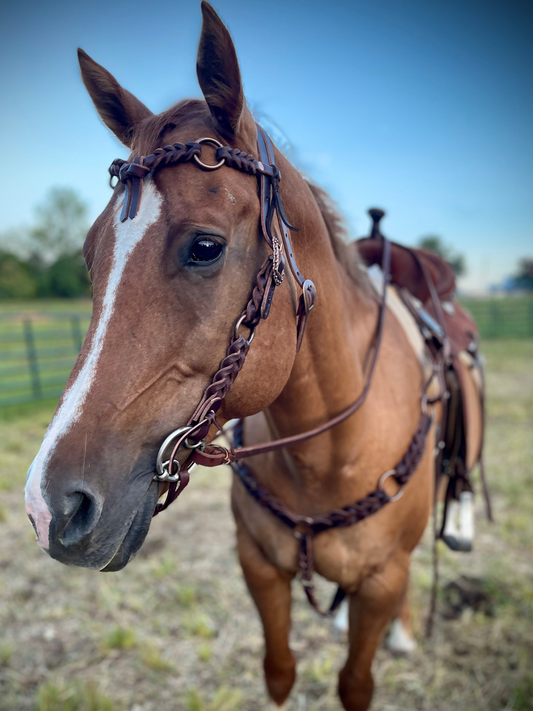 Rings & Knots Futurity Brow Headstall