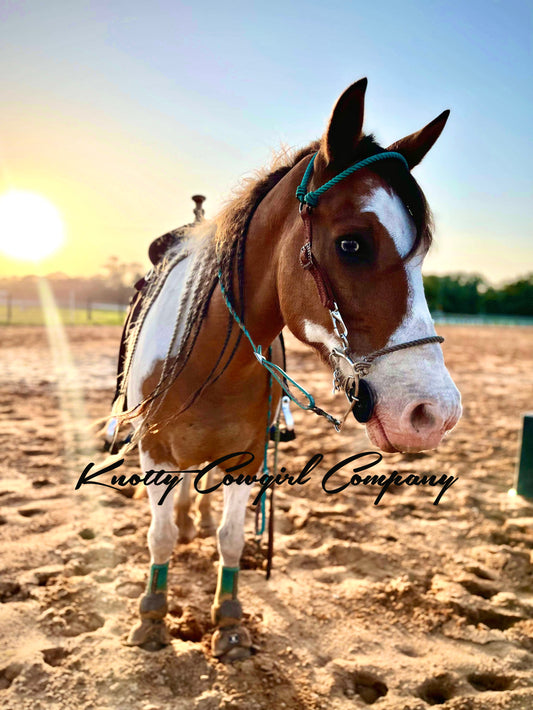 The Cowboy Crown Headstall