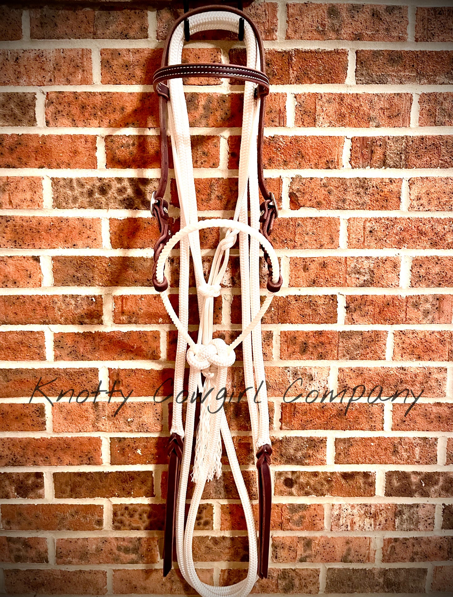 Loping Hackamore