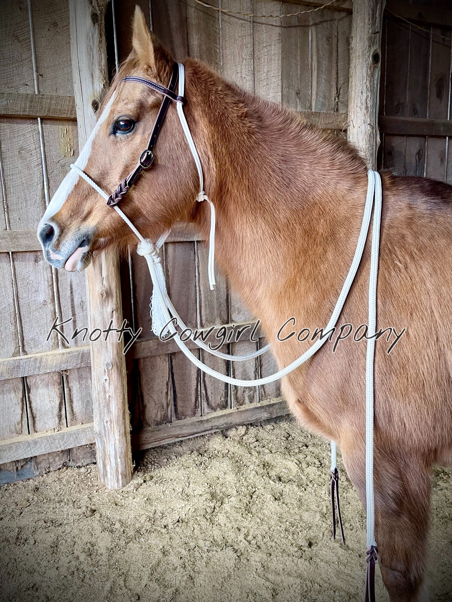 Loping Hackamore