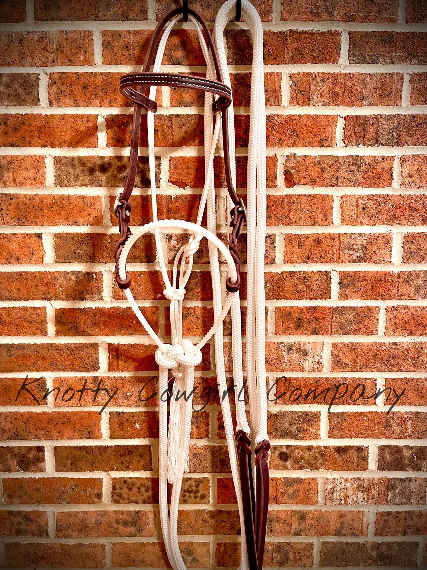 Loping Hackamore