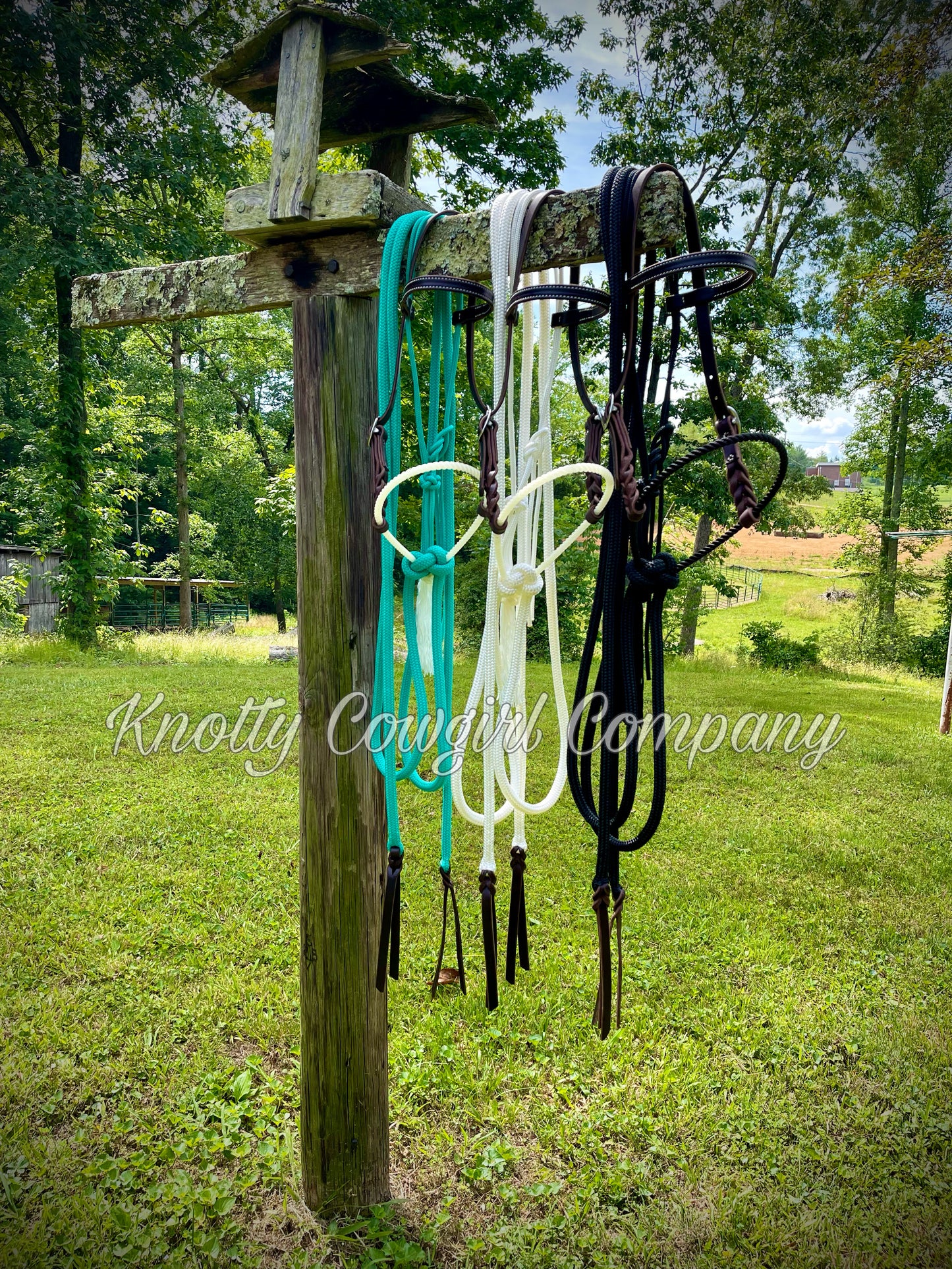 Loping Hackamore